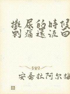 撒尿的时候尿道刺痛还流白色液体