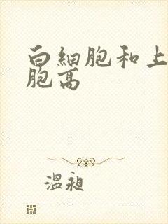 白细胞和上皮细胞高