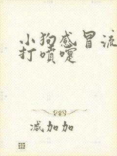 小狗感冒流鼻涕打喷嚏