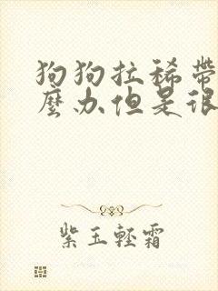 狗狗拉稀带血怎么办但是很活泼