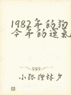 1982年的狗今年的运气