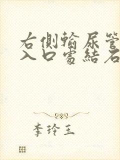 右侧输尿管膀胱入口处结石