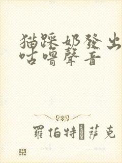 猫踩奶发出咕噜咕噜声音