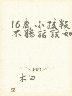 16岁小孩叛逆不听话该如何管教