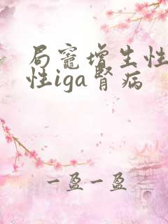 局灶增生性硬化性iga肾病