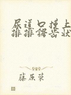 尿道口摸上去一排排锯齿状肉芽图片