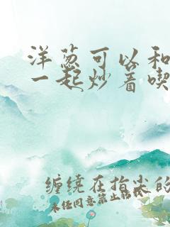 洋葱可以和茄子一起炒着吃吗