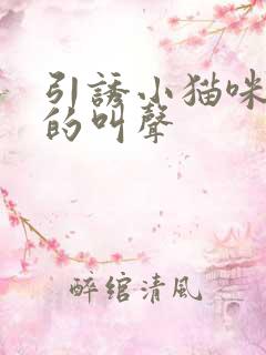 引诱小猫咪过来的叫声