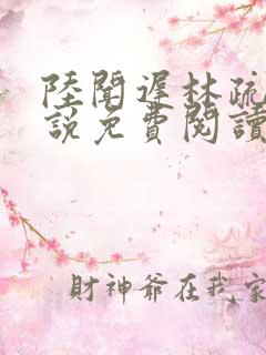 陆闻迟林疏月小说免费阅读最新章节