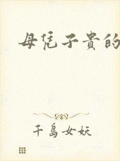母凭子贵的小说