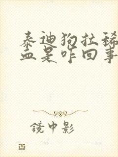 泰迪狗拉稀并带血是咋回事