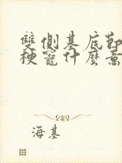 双侧基底节区腔梗灶什么意思