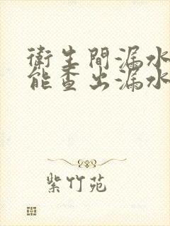 卫生间漏水怎么能查出漏水点