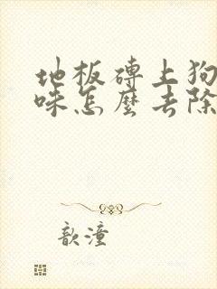 地板砖上狗尿骚味怎么去除