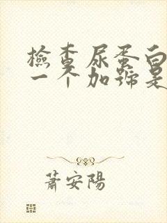 检查尿蛋白质有一个加号是怎么回事