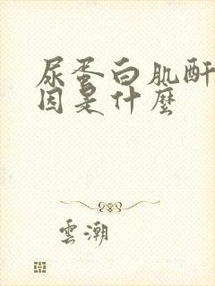 尿蛋白肌酐高原因是什么