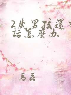 2岁男孩还不说话怎么办