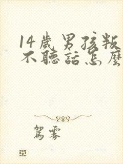 14岁男孩叛逆不听话怎么办