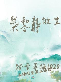 鼠和龙做生意合不合财