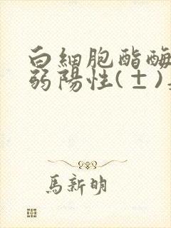 白细胞酯酶le弱阳性(±)是什么