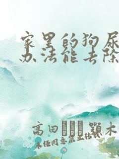 家里的狗尿味啥办法能去除