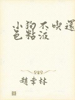 小狗不吃还吐白色粘液