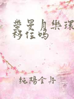 带曼月乐环容易移位吗