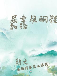 尿常规酮体一个加号