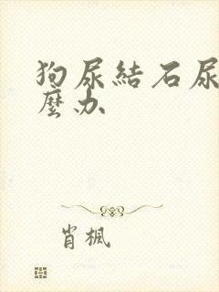 狗尿结石尿血怎么办