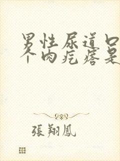 男性尿道口长了个肉疙瘩是怎么回事