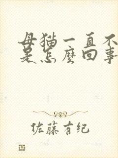 母猫一直不发情是怎么回事呀