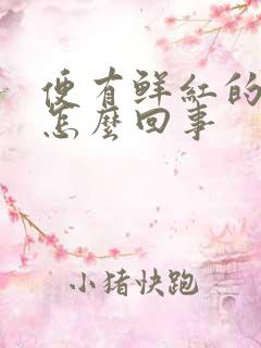 便有鲜红的血是怎么回事