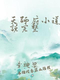 天师府小道士小说完整