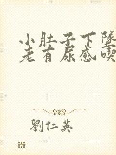 小肚子下坠胀疼老有尿感吃什么药