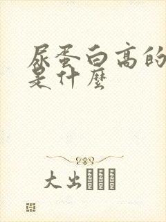 尿蛋白高的后果是什么