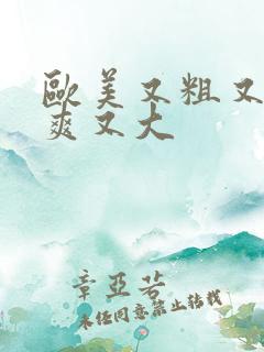 欧美又粗又硬又爽又大