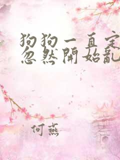 狗狗一直定点,忽然开始乱尿乱拉