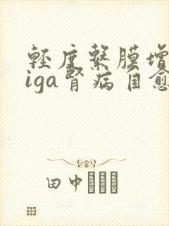 轻度系膜增生性iga肾病自愈