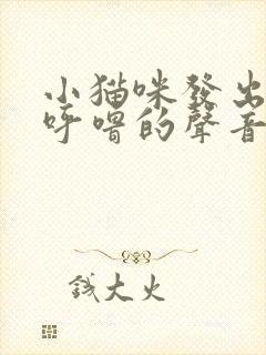 小猫咪发出呼噜呼噜的声音怎么回事