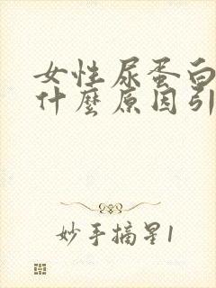 女性尿蛋白高是什么原因引起的