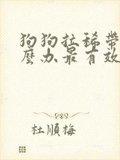 狗狗拉稀带血怎么办最有效的方法