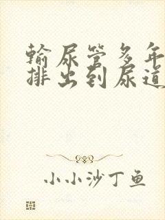 输尿管多年结石排出到尿道