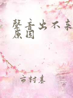 声音出不来什么原因