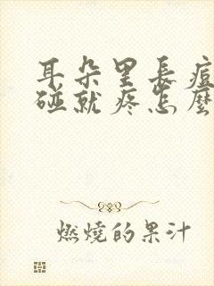 耳朵里长痘痘一碰就疼怎么回事