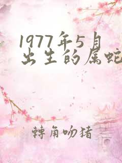 1977年5月出生的属蛇人一生运势