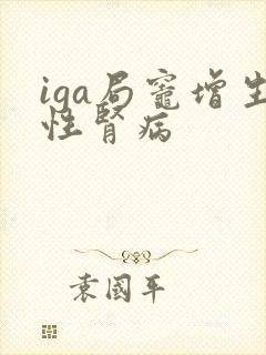 iga局灶增生性肾病