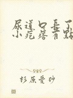 尿道口长了两个小疙瘩有点痒