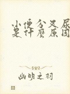 小便分叉尿无力是什么原因