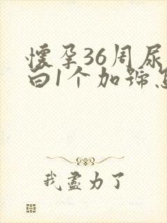 怀孕36周尿蛋白1个加号怎么办