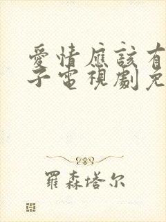 爱情应该有的样子电视剧免费看